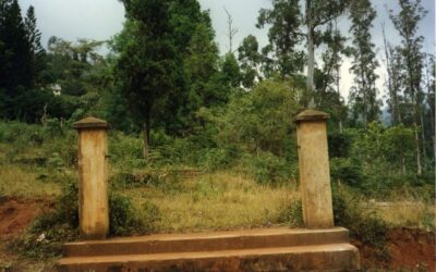 Finding the grave of Gustav Thiel’s youngest child in the heart of Africa